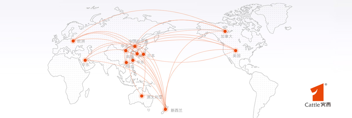 1742349627318263.jpg buu8.jpg